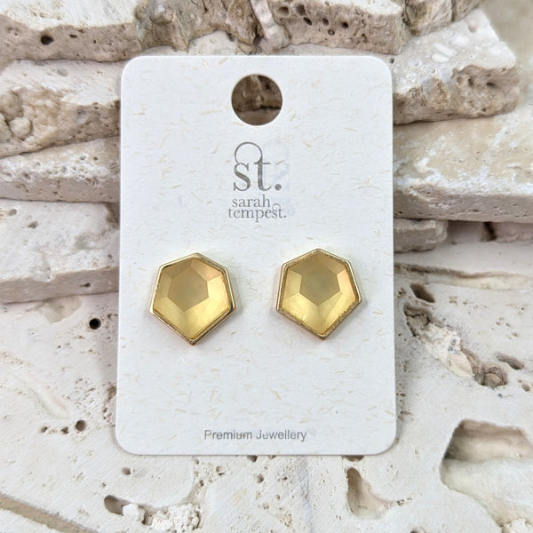 Facetted resin stud earrings