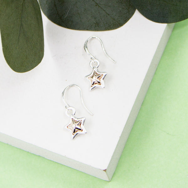 Star charm on fish hook earrings