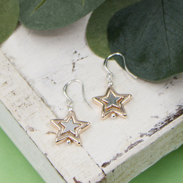 Double star drop on fish hook earrings